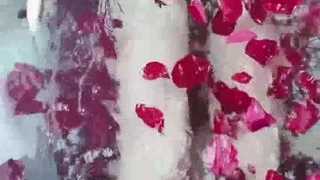 XSJ120_奇淫三国之乐不湿蜀