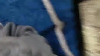 GUGE妻子肉欲勾引单身男小伙被榨精!!!