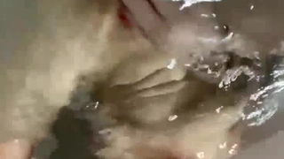 绿帽丈夫看性感妻子被牛一样的大黑屌猛操